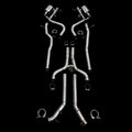 Mercedes Amg E63s Valved Exhaust System (213)